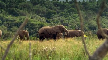 King Solomon's Mines screenshot 2