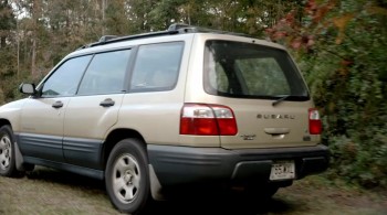 The Unwanted screenshot 3