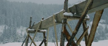 The Timber screenshot 2