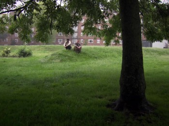 Aaaaaaaah! screenshot 2