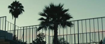 Rock the Kasbah screenshot 1