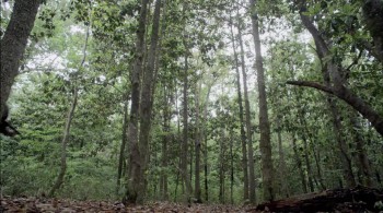 Deadliest Prey screenshot 2