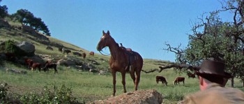 Gun for a Coward screenshot 2