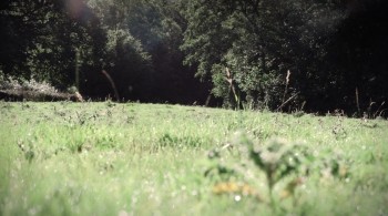 Amorous screenshot 2