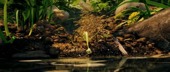 Arthur 3: The War of the Two Worlds screenshot 1