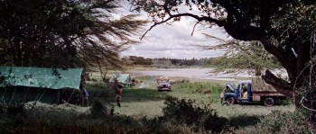 Born Free screenshot 3