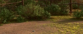 The Good Dinosaur screenshot 3