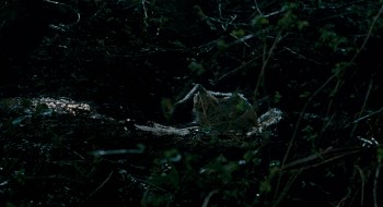 Slither screenshot 3