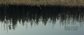 Coconut Hero screenshot 1