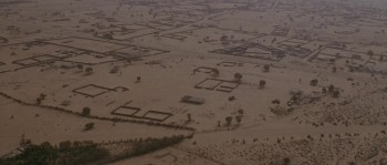 Code 46 screenshot 3