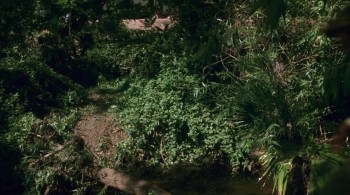 Cannibal Women in the Avocado Jungle of Death screenshot 1