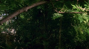 Cannibal Women in the Avocado Jungle of Death screenshot 2