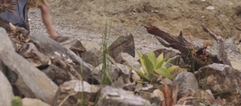 The Boy screenshot 2