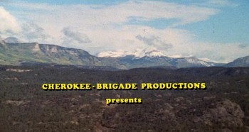 Support Your Local Gunfighter screenshot 2