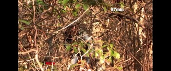 BreadCrumbs screenshot 1