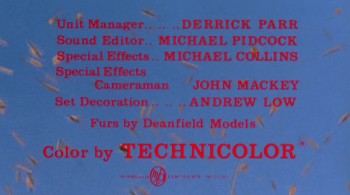 The Deadly Bees screenshot 2