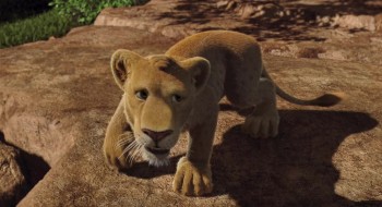 Vilddjuren screenshot 2