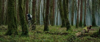 The Hallow screenshot 1