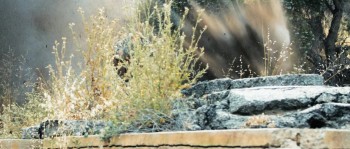 WEAPONiZED screenshot 1