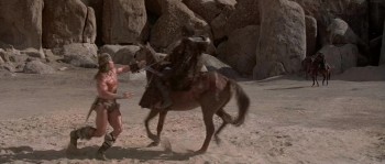 Conan the Destroyer screenshot 2