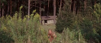 The Vikings screenshot 1