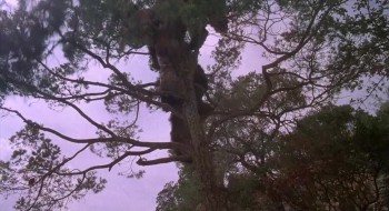 Caveman screenshot 2