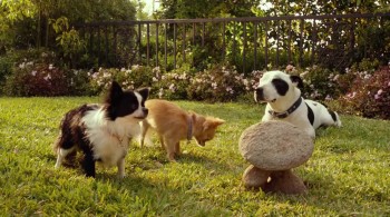 Beverly Hills Chihuahua 3: Viva La Fiesta! screenshot 1