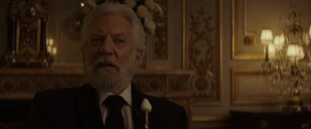 The Hunger Games: Mockingjay - Part 2 screenshot 3