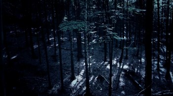 Little Dead Rotting Hood screenshot 2