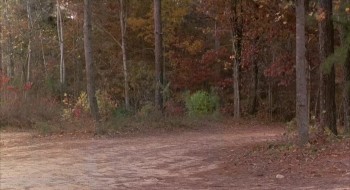 Sleepaway Camp III: Teenage Wasteland screenshot 1