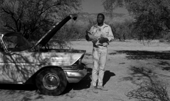 Lilies of the Field screenshot 1