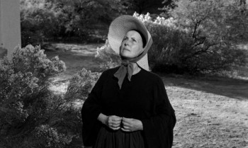 Lilies of the Field screenshot 2