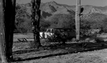 Lilies of the Field screenshot 3