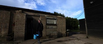 Curse of the Witching Tree screenshot 2