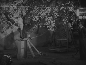 Shooting Stars screenshot 3