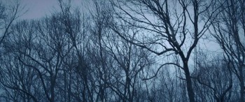 Dark Was the Night screenshot 1