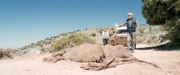 A Perfect Day screenshot 1