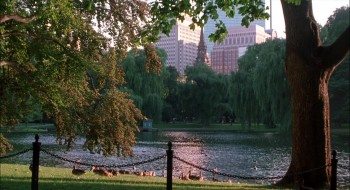 What's the Worst That Could Happen? screenshot 1