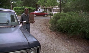 Ulee's Gold screenshot 1