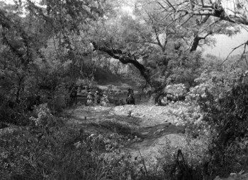 Blowing Wild screenshot 1