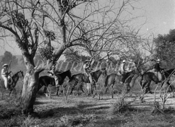 Blowing Wild screenshot 2