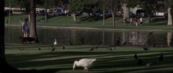 Columbus Day screenshot 3