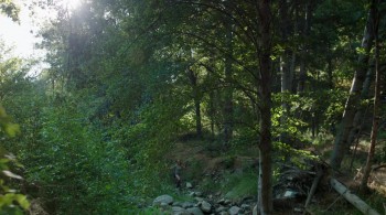 Raven's Touch screenshot 1