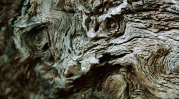 Raven's Touch screenshot 2