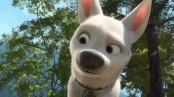 Bolt screenshot 2
