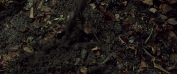 The Survivalist screenshot 2