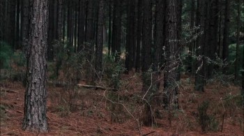 The Breed screenshot 2