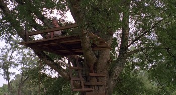 Fried Green Tomatoes screenshot 1