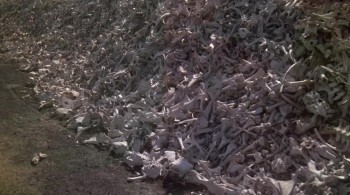 The White Buffalo screenshot 1