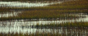 The Choice screenshot 1